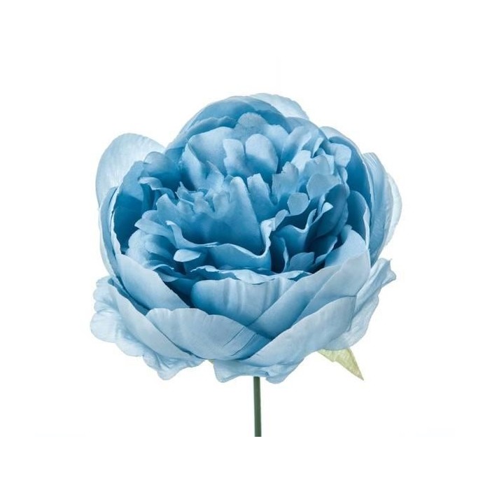 PICK PEONIA BLU' H19 D11